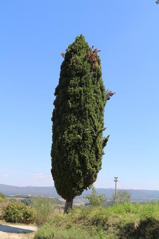 Certine Agriturismo Ашано Экстерьер фото