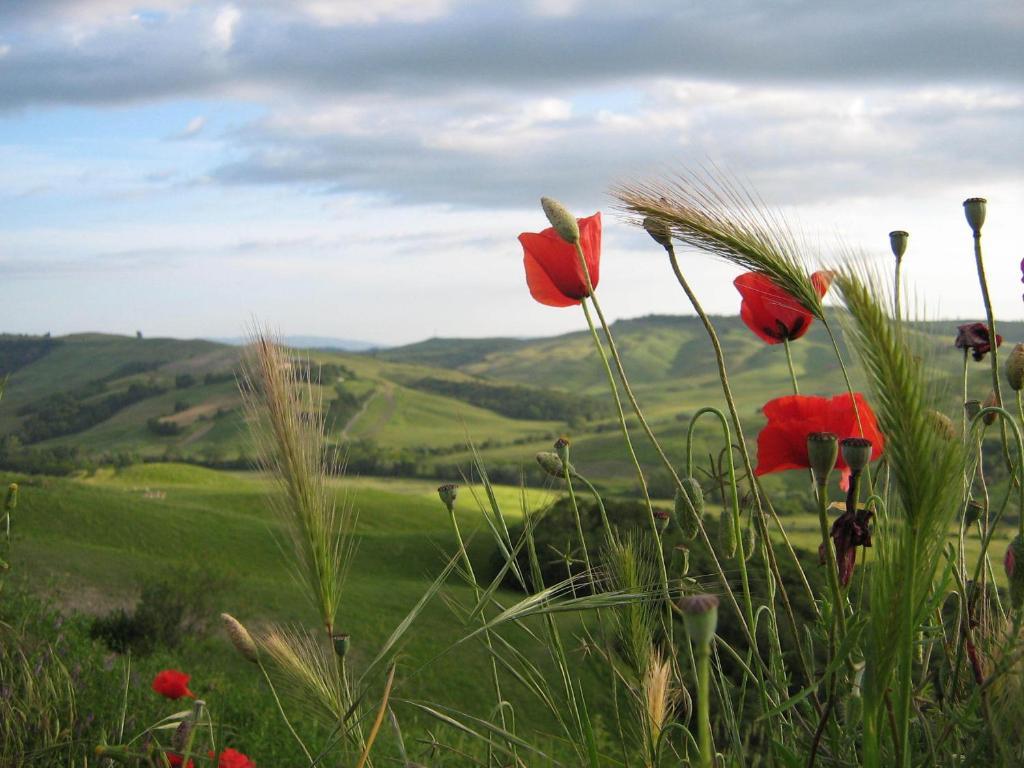 Certine Agriturismo Ашано Экстерьер фото