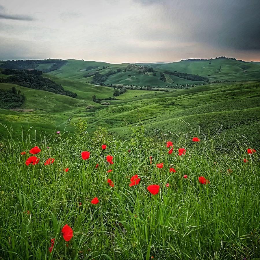 Certine Agriturismo Ашано Экстерьер фото